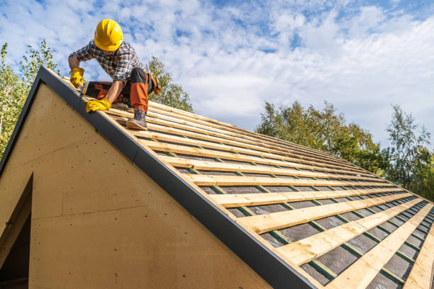 Best Roof Gutter Cleaning  in Berly, MO